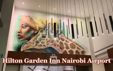 YouTube Tutorials: Visual Guides to Using Hilton Friends & Family